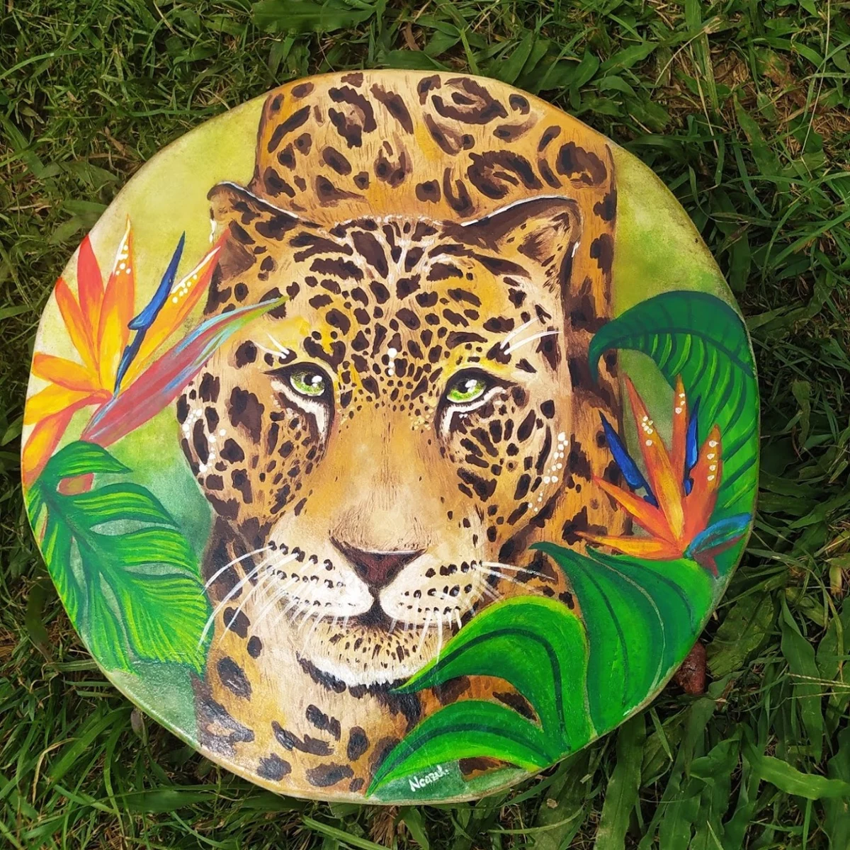 Meditación Animal de Poder · imagen de los canales de Chasqui